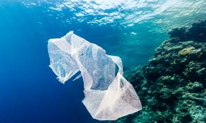 Start in science Pollution of the world's oceans with plastic waste