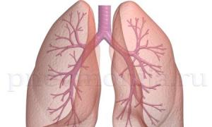 Bronchitis, bronchial asthma, pneumonia